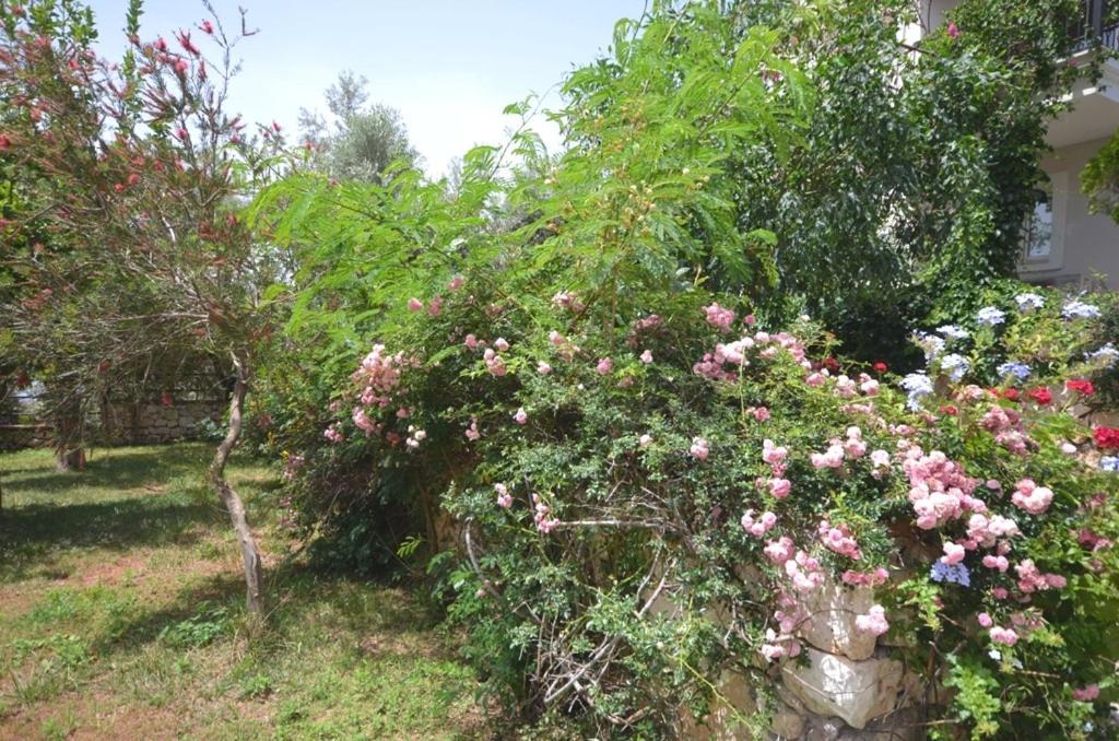 Villa Leton Kleo - Kalkan Center المظهر الخارجي الصورة